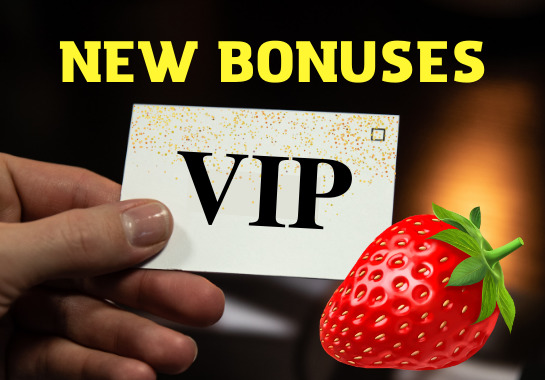 vip hive casino terms and conditions